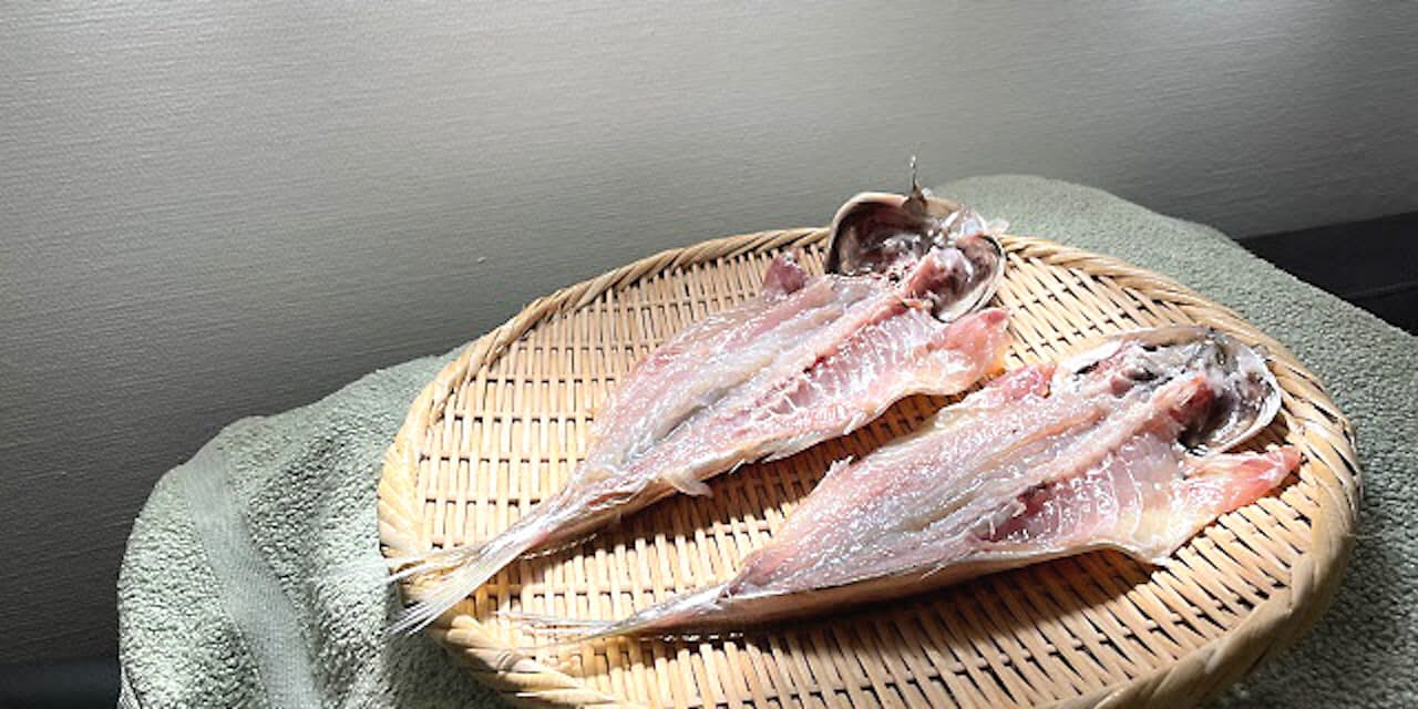 パリで 干物沼 にダイブ アジを干して知る奥深さ Nikkei Style パリで 干物沼 にダイブ アジを干して知る奥深さ Nikkei Style
