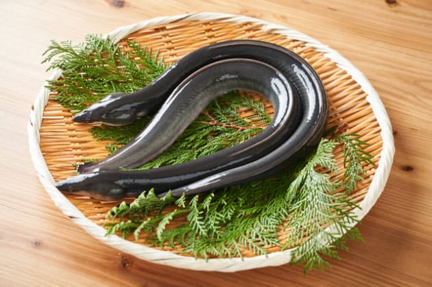 おいしくなった安価な中国産うなぎ かば焼きのタレは水で洗う 安い うなぎでも Nikkei Style おいしくなった安価な中国産うなぎ かば焼きのタレは水で洗う 安い うなぎでも Nikkei Style