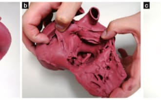 図1　クロスエフェクトの軟質心臓モデル。外形や心室、心房の内部の形状だけでなく、大動脈や冠状動脈も中空で再現されている（a、b）。価格は標準モデルで約20万円、完全オーダーの場合は40万円程度である。ユーザーが導入しやすいように学習用の安価なモデル「Cardio Model E.V」を提供している（c）。価格は3万5000円。標準モデルは中子を使い捨てるが、 Cardio Model E.Vはあらかじめ切り込みが入っており、中子を取り出して再利用する