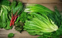 硝酸塩は、ほうれん草や小松菜、チンゲン菜、春菊などの葉物野菜に多く含まれている。（写真=123RF）
