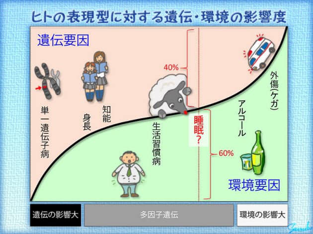 遺伝と環境 睡眠時間の長さを決めるのはどっち Nikkei Style 遺伝と環境 睡眠時間の長さを決めるのはどっち Nikkei Style