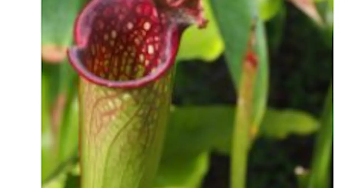 花王 塗布するだけで付着せずにすべり落ちる表面を作り出すコーティング剤の技術を開発 日本経済新聞 花王 塗布するだけで付着せずにすべり落ちる表面を作り出すコーティング剤の技術を開発 日本経済新聞