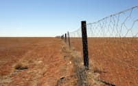 オーストラリアの砂漠とフェンス(Ronald Sumners/Shutterstock)