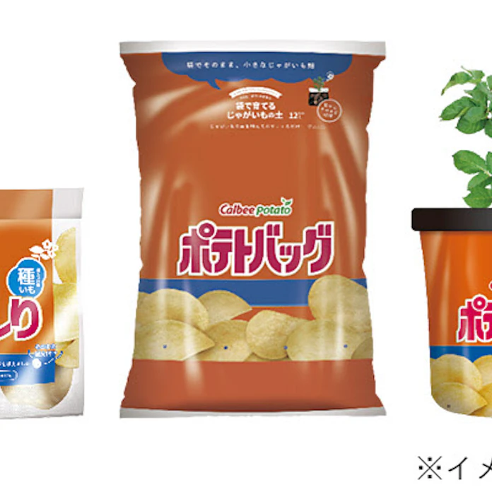 カルビーポテトとプロトリーフ 栽培用種芋 ぽろしり と袋で育てるじゃがいもの土 ポテトバッグ を発売 日本経済新聞 カルビーポテトとプロトリーフ 栽培用種芋 ぽろしり と袋で育てるじゃがいもの土 ポテトバッグ を発売 日本経済新聞