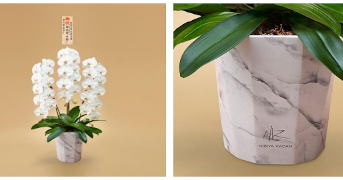 日比谷花壇 資源として再利用可能な紙製の鉢 E Pot エポット 入りの3本立ち胡蝶蘭の注文受付を開始 日本経済新聞 日比谷花壇 資源として再利用可能な紙製の鉢 E Pot エポット 入りの3本立ち胡蝶蘭の注文受付を開始 日本経済新聞