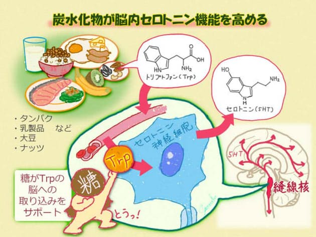 最新のうつ病治療 ドパミン効果主体のうつ病治療 川崎メンタルクリニック