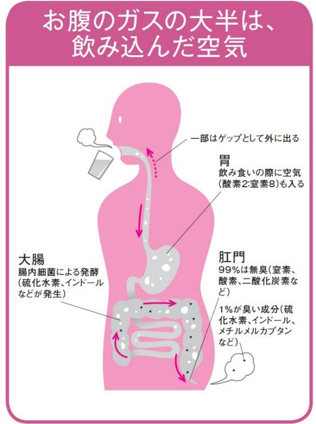 張って苦しい ごろごろ鳴る お腹になぜガスたまる Nikkei Style 張って苦しい ごろごろ鳴る お腹になぜガスたまる Nikkei Style