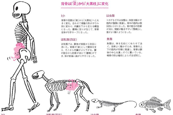 こまめに動けば背骨の若さ 強さを保てる Nikkei Style