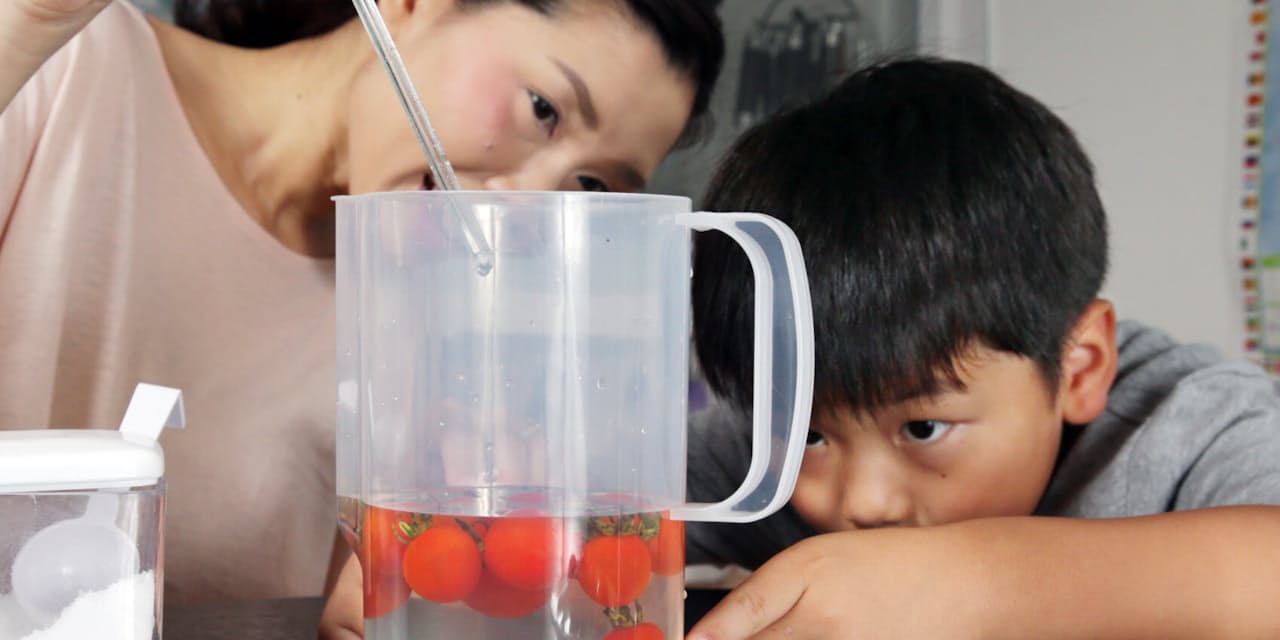 親子で必見 専門家お薦めの自由研究 ベスト10 Nikkei Style 親子で必見 専門家お薦めの自由研究 ベスト10 Nikkei Style