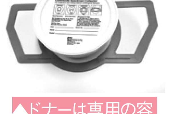小麦を抜いて体調改善 グルテンフリー 健康法 Nikkei Style