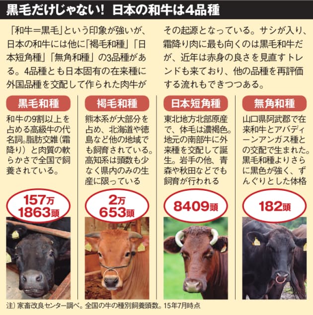 赤身肉のうまさを味わう 和牛4品種の源流を訪ねて Nikkei Style 赤身肉のうまさを味わう 和牛4品種の源流を訪ねて Nikkei Style