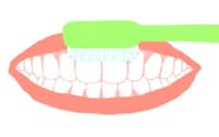 前歯（表側）は毛先を下に向ける
歯茎マッサージで歯周病を予防しよう。表側の前歯は、歯ブラシを歯と歯茎の境目に当て、歯の先端に向けて歯ブラシを動かす

