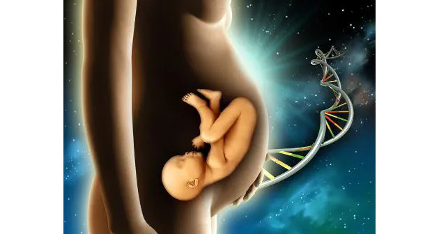 そっくりな親子と似ていない親子 その分かれ目は Nikkei Style