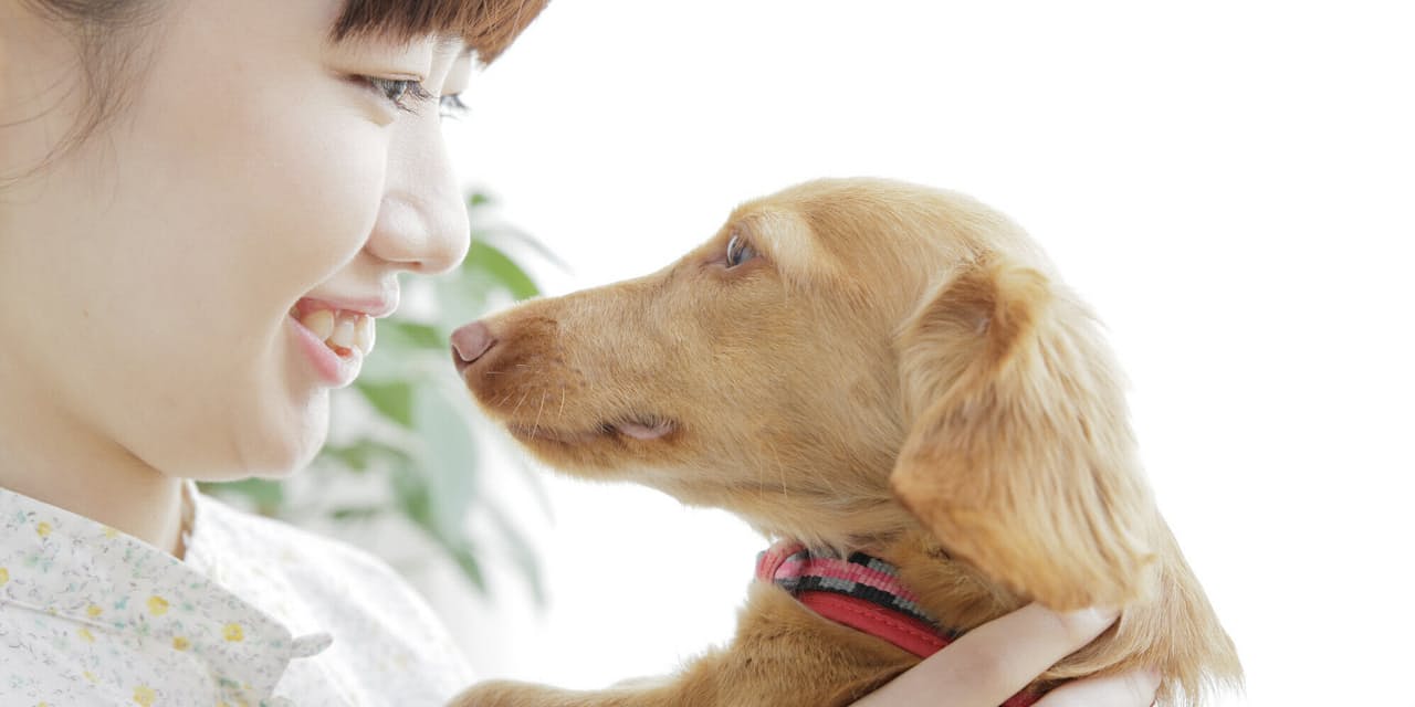 安らぎホルモンが出る 動物と触れ合うペットセラピー Nikkei Style 安らぎホルモンが出る 動物と触れ合うペットセラピー Nikkei Style