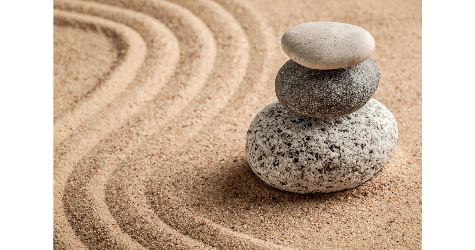 僧侶が教える ネガティブ感情が消える心の習慣 Nikkei Style 僧侶が教える ネガティブ感情が消える心の習慣 Nikkei Style