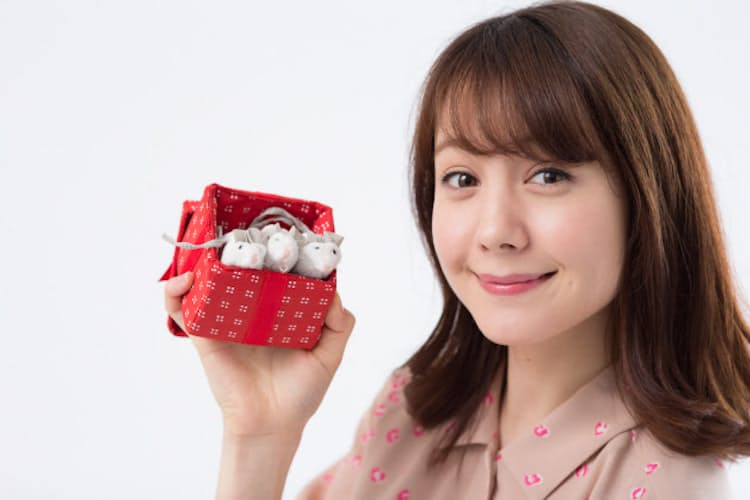 トリンドル玲奈 海外小学校生活を支えた3匹のネズミ Nikkei Style トリンドル玲奈 海外小学校生活を支えた3匹のネズミ Nikkei Style