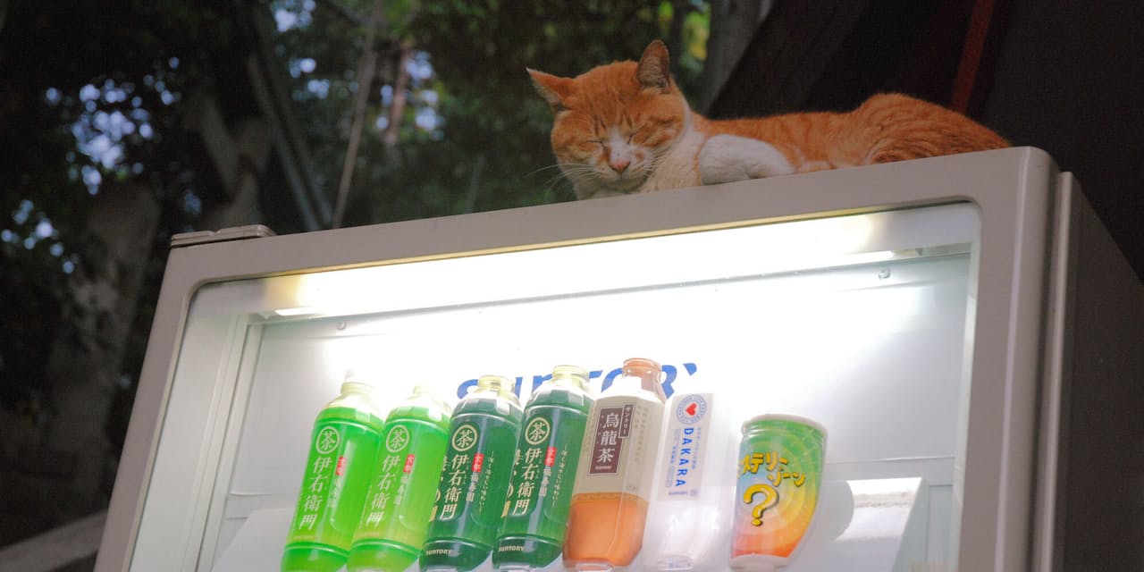 駐車場 自販機 太陽光 置くだけ 投資で不労所得 Nikkei Style