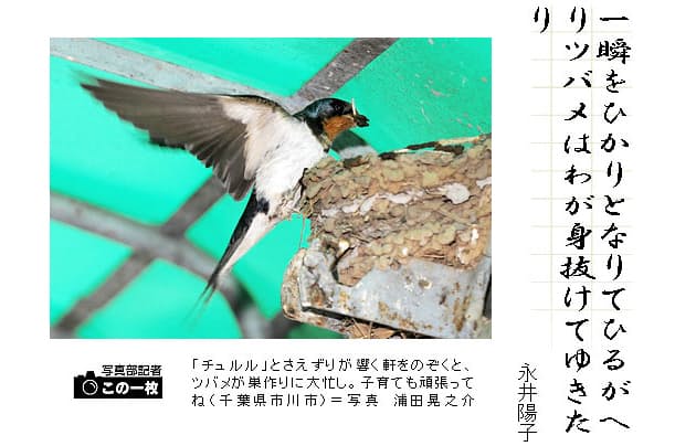 ツバメの歌 一口短歌講座 ツバメ Nikkei Style ツバメの歌 一口短歌講座 ツバメ Nikkei Style