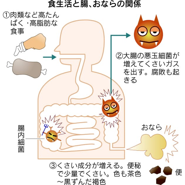 おならは腸内環境のバロメーター 悪玉細菌 多いとくさい にお ヘルスｕｐ Nikkei Style