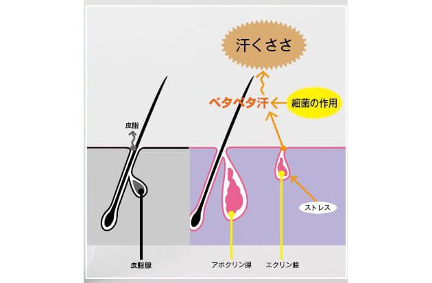 気になるストレス性の べとべと汗 の対処法 知的に防ぐカラダのにおい撃退術 Nikkei Style 気になるストレス性の べとべと汗 の対処法 知的に防ぐカラダのにおい撃退術 Nikkei Style