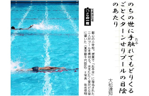 泳ぐ女性の歌 一口短歌講座 プール Nikkei Style