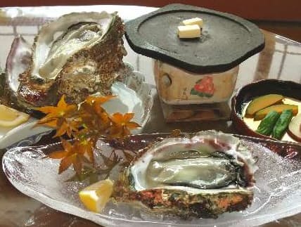 石川県 珠洲温泉 能登の景勝 岩ガキとともに味わう Nikkei Style 石川県 珠洲温泉 能登の景勝 岩ガキとともに味わう Nikkei Style