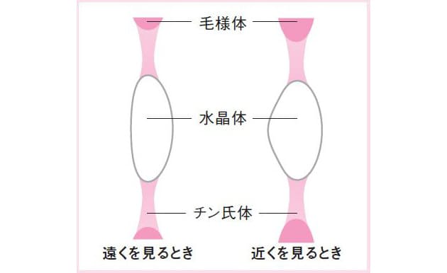 たった10秒で 目指せ 55歳まで老眼鏡いらず 気になる 老眼 ヘルスup Nikkei Style