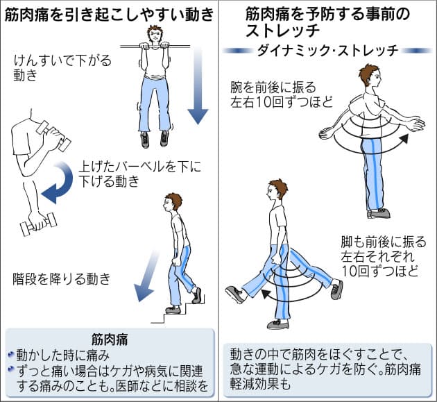 筋肉痛 大切なのは予防策 ヘルスｕｐ Nikkei Style
