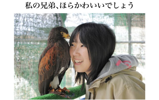 鷹匠は女子高生 心はタカと空を舞う 日経bizgate 鷹匠は女子高生 心はタカと空を舞う 日経bizgate