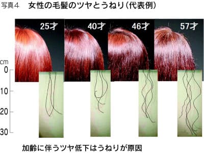 髪にもあった 曲がり角 ピーク年齢に驚きの男女差 エンタメ Nikkei Style 髪にもあった 曲がり角 ピーク年齢に驚きの男女差 エンタメ Nikkei Style