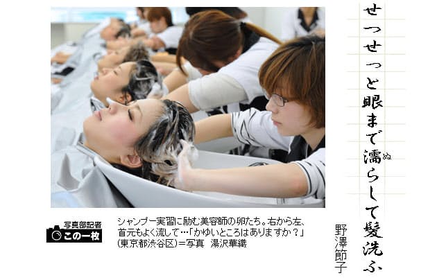 節電の夏に見直したい季語 俳句一口講座 髪洗ふ Nikkei Style 節電の夏に見直したい季語 俳句一口講座 髪洗ふ Nikkei Style