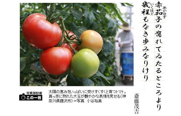斎藤茂吉の時間描写 短歌一口講座 トマト Nikkei Style 斎藤茂吉の時間描写 短歌一口講座 トマト Nikkei Style