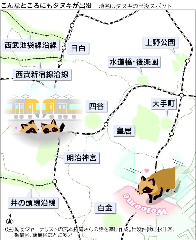 1000匹が23区に 東京でタヌキが暮らせる理由 大手町のオフィス街にも登場 Nikkei Style 1000匹が23区に 東京でタヌキが暮らせる理由 大手町のオフィス街にも登場 Nikkei Style