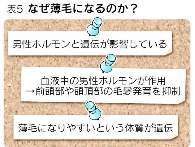 加齢に伴い ヘアサイクル は短く 薄毛の不思議なメカニズム あなたはm型 O型 Nikkei Style 加齢に伴い ヘアサイクル は短く 薄毛の不思議なメカニズム あなたはm型 O型 Nikkei Style