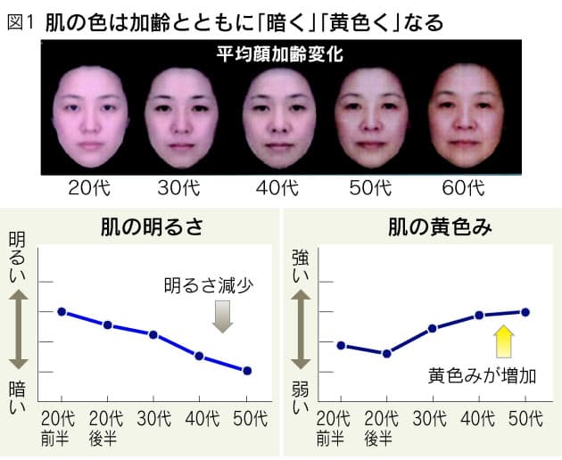肌の色で年齢が分かる 加齢の新常識 エンタメ Nikkei Style