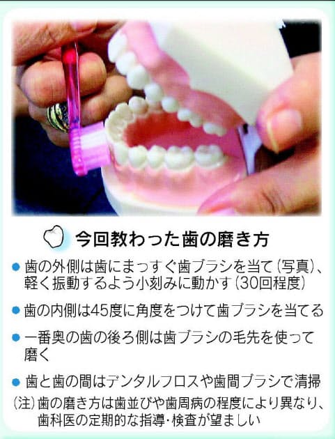 正しい歯磨きの効果は 10日間続けてみると くらし ハウス Nikkei Style