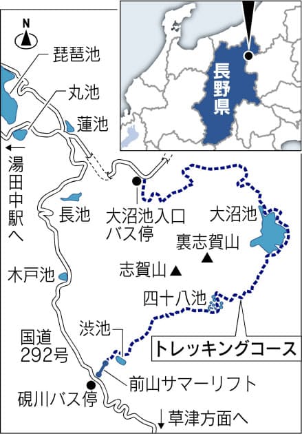 長野 志賀高原 水辺の林道 大蛇伝説の池めざし歩く Nikkei Style 長野 志賀高原 水辺の林道 大蛇伝説の池めざし歩く Nikkei Style