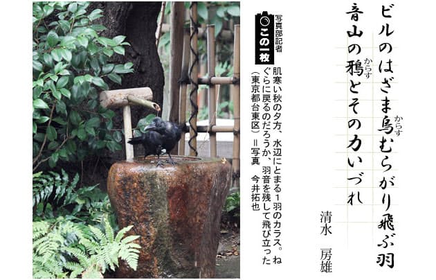 清水房雄のカラスの歌 短歌一口講座 カラス Nikkei Style