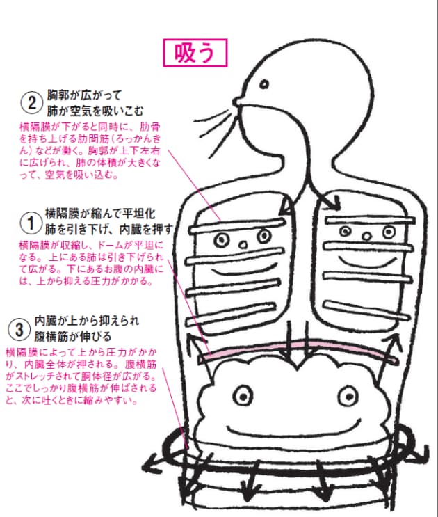 息 を 深く 吸う と 胸 が 痛い