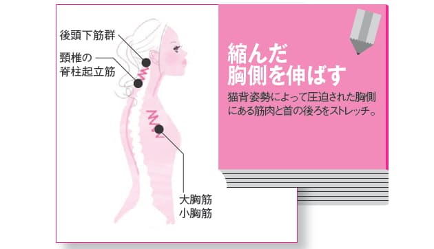 首のこりや片頭痛もすっきり 猫背 の治し方 ゆがみリセット学 2 日経bizgate 首のこりや片頭痛もすっきり 猫背 の治し方 ゆがみリセット学 2 日経bizgate