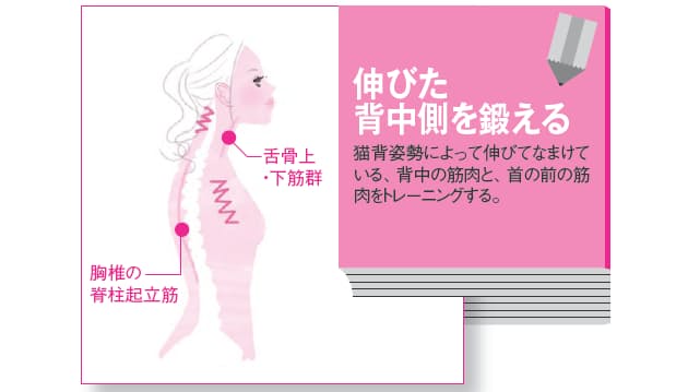 首のこりや片頭痛もすっきり 猫背 の治し方 ゆがみリセット学 2 Nikkei Style