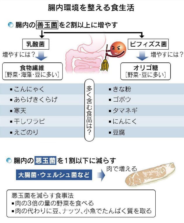 腸内の 善玉菌 効果的に増やす食生活 Nikkei Style