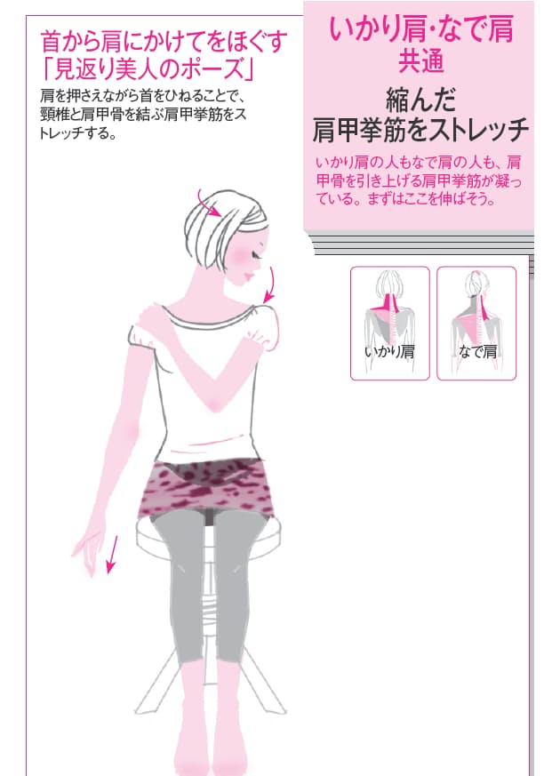 いかり肩 なで肩 タイプによって違う肩こり対処法 ゆがみリセット学 3 日経bizgate いかり肩 なで肩 タイプによって違う肩こり対処法 ゆがみリセット学 3 日経bizgate
