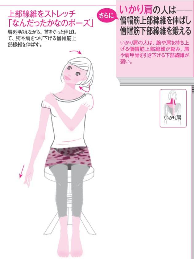 いかり肩 なで肩 タイプによって違う肩こり対処法 ゆがみリセット学 3 Nikkei Style いかり肩 なで肩 タイプによって違う肩こり対処法 ゆがみリセット学 3 Nikkei Style