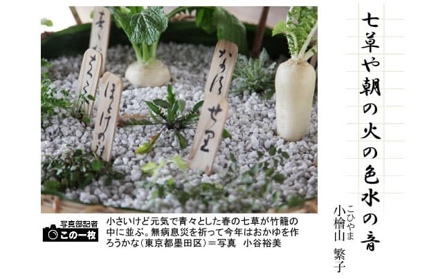 春の七草 俳句一口講座 七草 Nikkei Style 春の七草 俳句一口講座 七草 Nikkei Style
