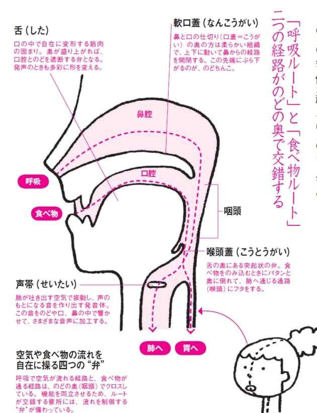 加齢で衰える のみ込む力 守るカギは のどちんこ に Nikkei Style 加齢で衰える のみ込む力 守るカギは のどちんこ に Nikkei Style