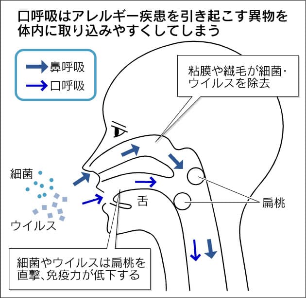 花粉症に強い体に ポイントは鼻呼吸 Nikkei Style 花粉症に強い体に ポイントは鼻呼吸 Nikkei Style