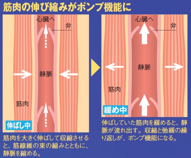 ストレッチで やせスイッチ オン 一生太らない体を作る Nikkei Style ストレッチで やせスイッチ オン 一生太らない体を作る Nikkei Style