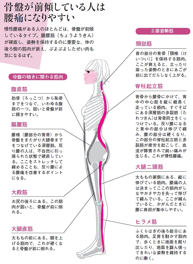 ぽっこり腹や腰痛の原因にも 反り腰 を改善 ゆがみリセット学 4 Nikkei Style
