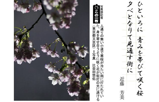 近藤芳美 戦後の春 短歌一口講座 桜 Nikkei Style